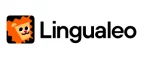 Lingualeo: Образование Тулы