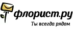 Флорист.ру: Магазины цветов Тулы: официальные сайты, адреса, акции и скидки, недорогие букеты